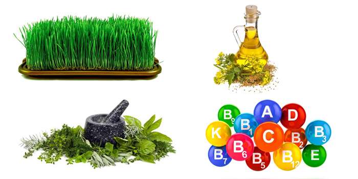 Состав средства GrassFit.
